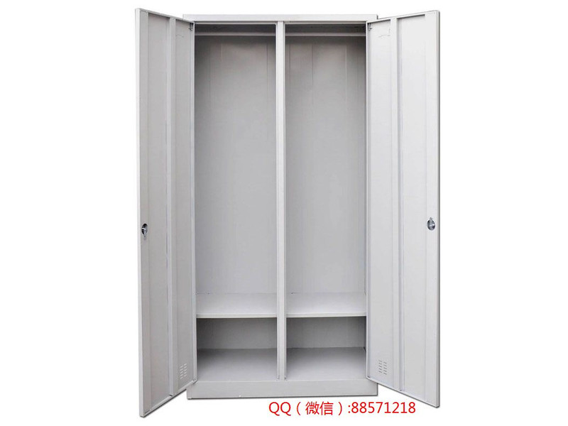 資陽兩門辦公儲物工具柜