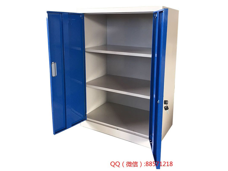 雅安兩門鐵工具柜