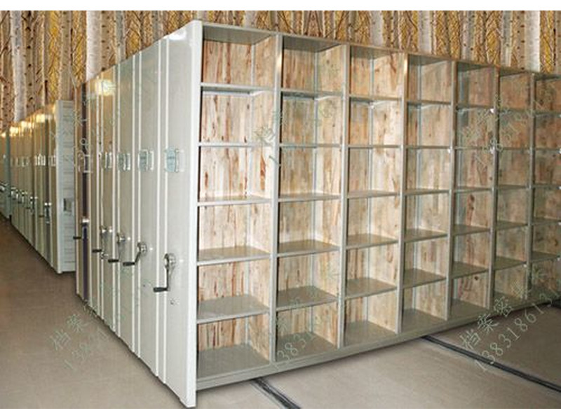 揭陽樟木密集文物架