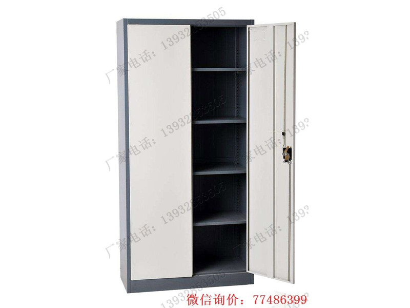 兩開(kāi)門(mén)財(cái)務(wù)資料柜